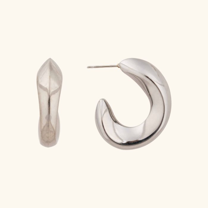 Classic Stylish Hook Shape Jewelry Earrings Waterproof Stainless Steel Women's  Stud Earrings - Image 1