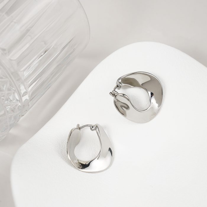 2024 New Minimalist Design Chunky Twisted Palladium Plated Brass Hoop Earrings for Ladies Jewelry - Image 2