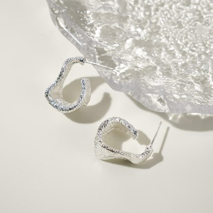Exquisite Chic Chunky C Shape Earrings Hot Sale Zinc Alloy Brushed Geometric Earrings For Girls