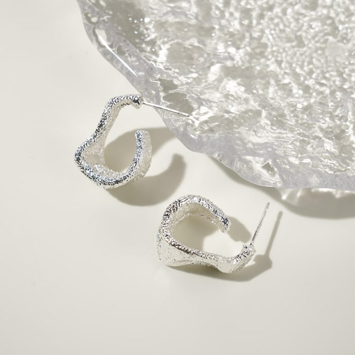 Exquisite Chic Chunky C Shape Earrings Hot Sale Zinc Alloy Brushed Geometric Earrings For Girls - Image 1